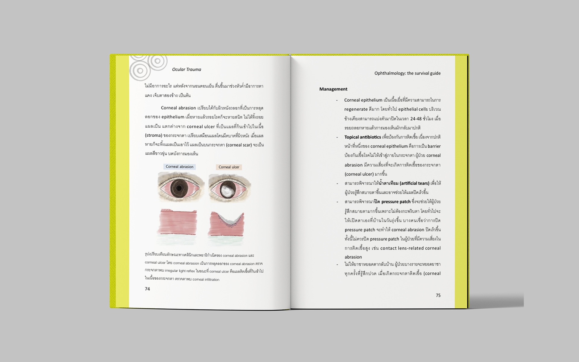 Survival_guide_mockup2